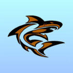 Alburtis Sharks Swim & Dive Team