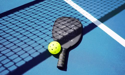 Pickle ball paddle with ball on court with net shadow.